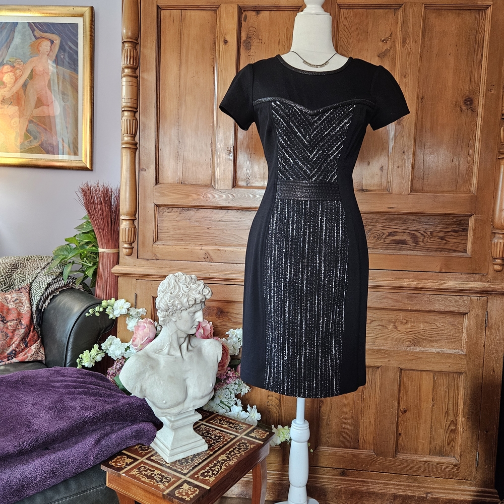 Yoana Baraschi Black and Silver Mini Dress